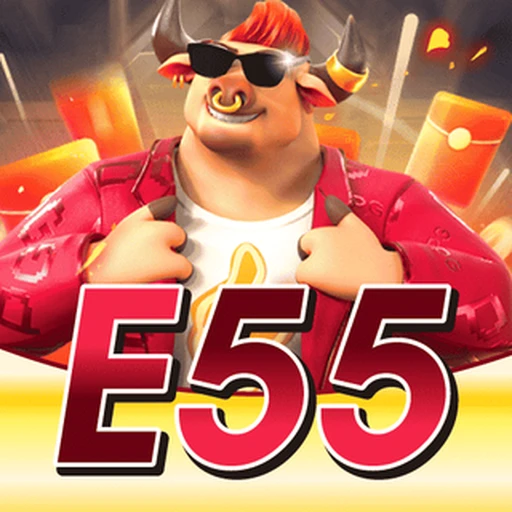 E55.COM